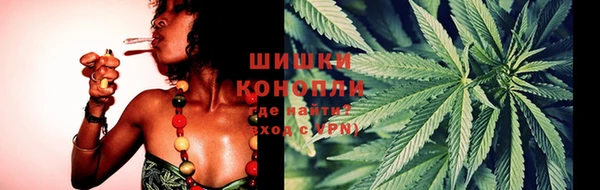 индика Белокуриха
