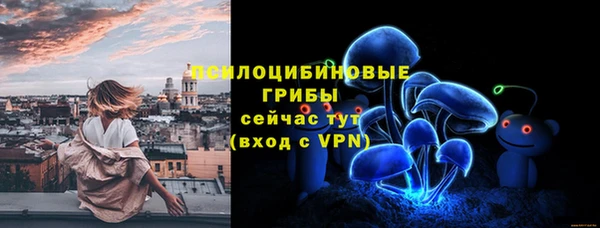 индика Белокуриха