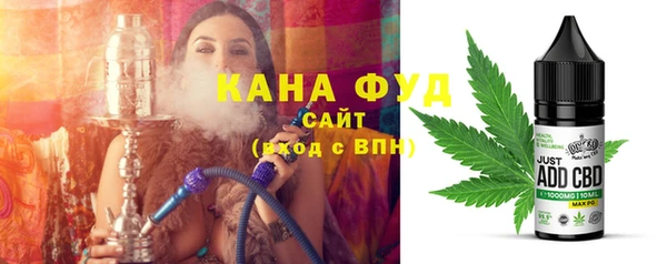 индика Белокуриха