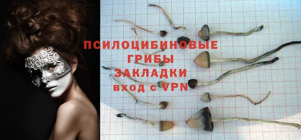 индика Белокуриха