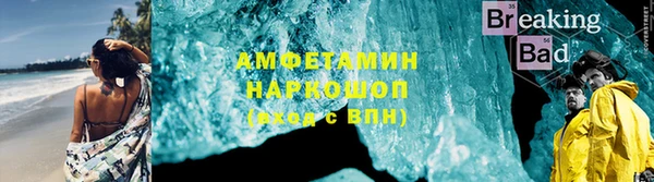 индика Белокуриха
