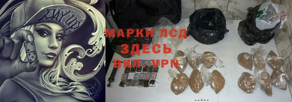 индика Белокуриха